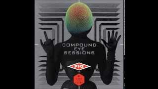 Pig vs. MC Lord of The Flies - The Compound Eye (Tsetse Mix/Be My Enemy)