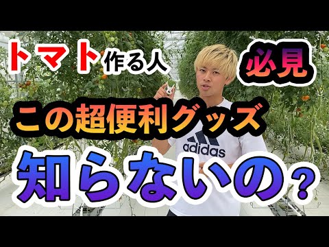 トマトを強化するにはどうすればよいですか？天然肥料であるイラクサ肥料の恩恵をお楽しみください。  庭園