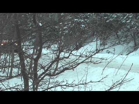 7 Rajd Lotos Baltic Cup 2011 Bartłomiej Karaś -  Daniel Ziębiński Opel Kadett Gsi