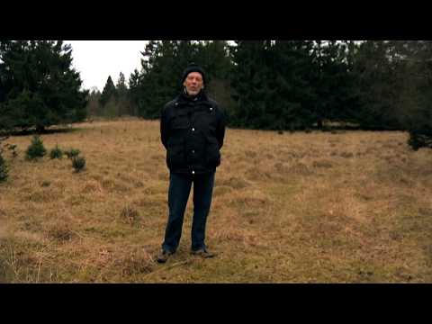 Hvidsten Gruppen - Mustard Point