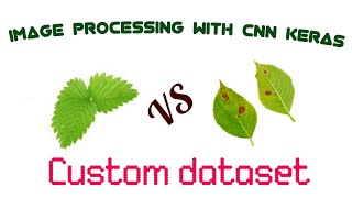 Part2: Make Prediction on single image using CNN keras Model ||Bangla Tutorial