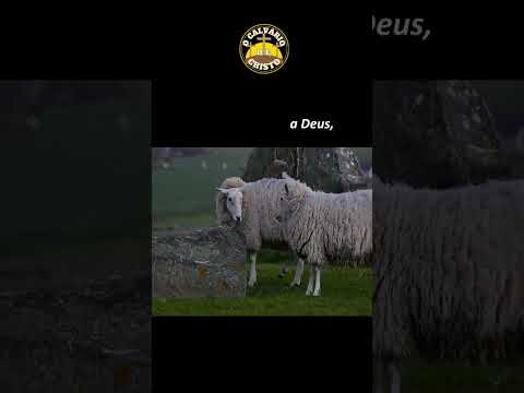 Salmo 56- Criança explica Uma forte oração de libertação