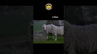 Salmo 56- Criança explica Uma forte oração de libertação