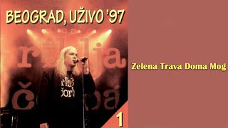 RIBLJA ČORBA - Zelena trava doma mog  (Audio 1997)