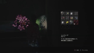 家にやって来たリバイオ２で速攻ライブ配信してみた！
