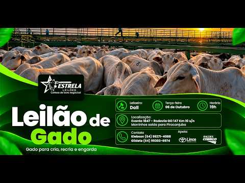 ESTRELA LEILÕES  - AO VIVO - 06/10/2026  -  19H - MORRINHOS - GOIÁS