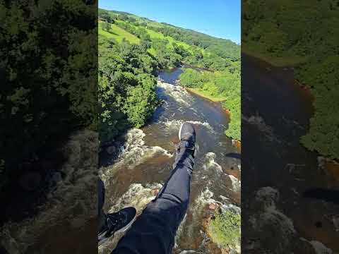 Jaborandi-Ba, paradisiaco