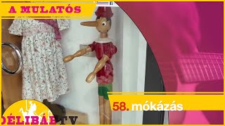 58. wellness a léleknek, bakik és erdekessègek -Délibáb Tv-