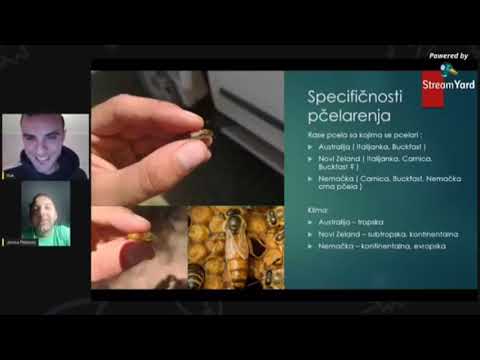 U svijetu pčela 1. dio ( cijelo predavanje , tehnika rada )  siječanj , 2021