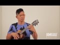 Jake Shimabukuro Plays Ukulele Five-0