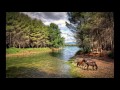 Brian Hardin - Serenity