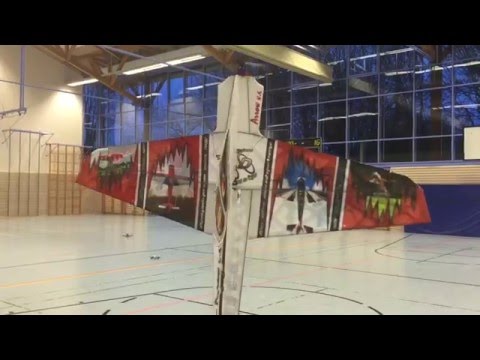 Still an Airplane? Flying indoor? Too low? Arrow V6 Julian Benz Freestyle Aerobatics 3D