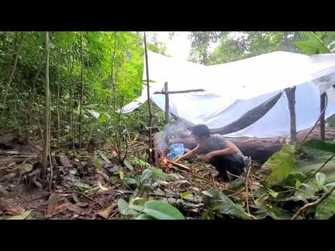 yos hav zoov pws ib leeg txias siab heev ep 11