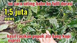 Download lagu How to store BO ingredients in the Jarwo Tugu Super wide leaf clone so that the results are very ... mp3