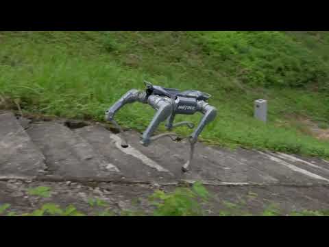 Unitree A2 Robotic Quadruped