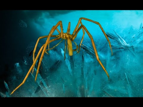 Gombessa 3 expedition - Episode 31