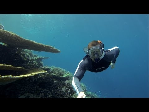 Free diving on the island of Vilamendhoo 2013