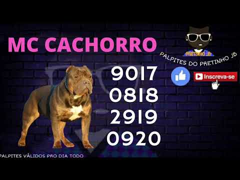 PALPITES PARA O JOGO DO BICHO 19/04/2022