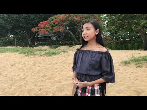 This Love @DAVICHIOFFICIAL  Cover by Srigung