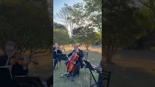Concerning Hobbits (The Lord Of The Rings) #music #thelordoftherings #hobbit #violin #stringquartet