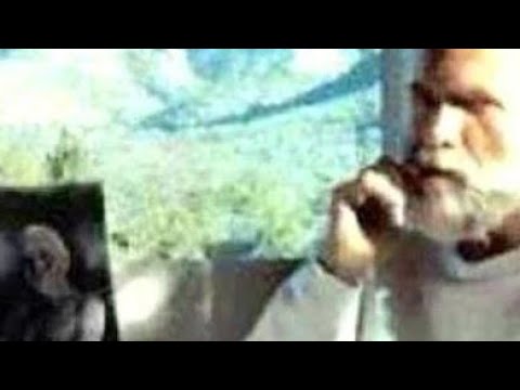 Satsang with Robert Adams (1992)