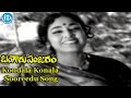 Kondala Konala Sooreedu Song Bangaru Panjaram Movie Songs Saluri Rajeswara Rao Songs