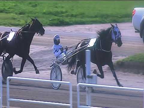 Trotto 12/05/2019 - 7ª corsa