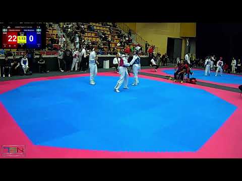 340  Nikki Marjanovic, Olympia Taekwondo club Helsingborg vs  Casandra Ikonen, KFUK KFUM Malmö TKD K