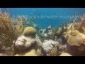 Bermuda dive   Easter 2015, Hangover Hole, Bermuda