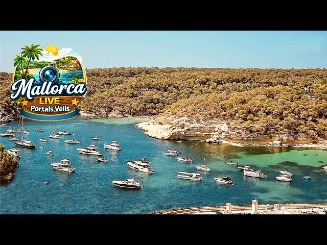 Live webcam view of Portals Vells Bay View