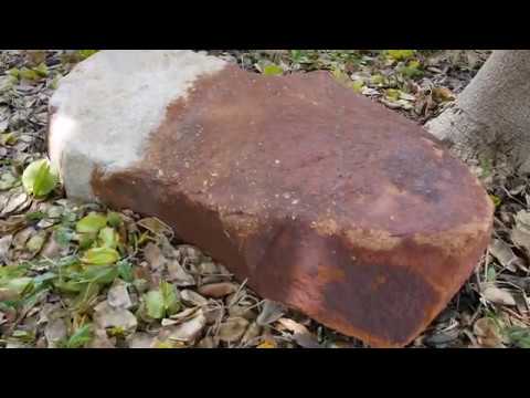 download lagu mp3 mp4 Rid O Rust, download lagu Rid O Rust gratis, unduh video klip Rid O Rust