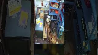 Terrifying Leopard Attack Caught on CCTV