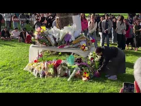 Hundreds gather in Vancouver park for community vigil after Filipino Lapu Lapu day attack