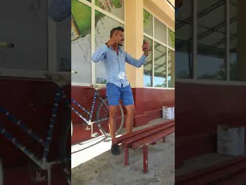 E rau Atentie Musca 2