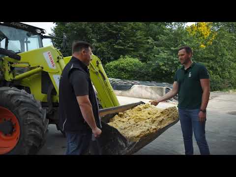 KWS Maisstorys 2021 - Mais in der Schweinefütterung