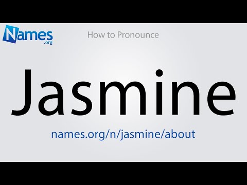 other names for jasmine