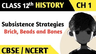 Subsistence Strategies - Brick, Beads and Bones Class 12 #history #ncert