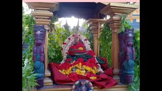 25th May 2023 – Annadhanam by our Trust