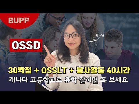 브듀TV 영상