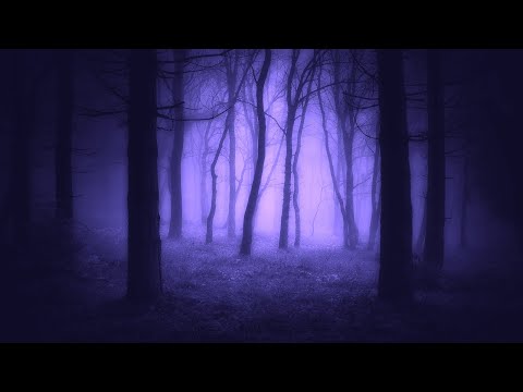Relaxing Fantasy Music - Shadowleaf | Peaceful, Soothing, Beautiful ★193
