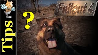 Lost Dogmeat in Sanctuary Hills | Fallout 4 PS4