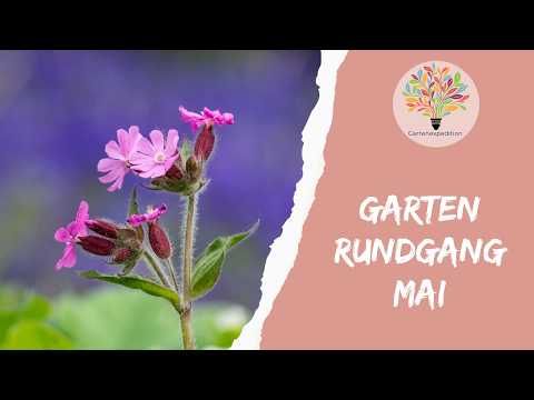 Gartenrundgang Mai: Blütenexplosion, Teich und Vegetationssprung - Gartenexpedition #naturgarten