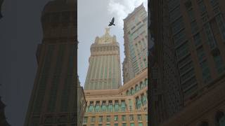 Download lagu Makkah Live Today Now | Mecca Live Now | Makkah Live Haram #meccah #abdulrehmanofficial #makkah mp3