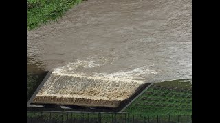 【大雨】令和３年８月１７日　愛知県