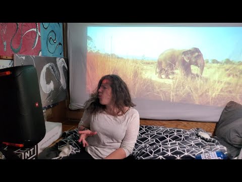 Ganja White Night x PEEKABOO - Mitosis (reaction)