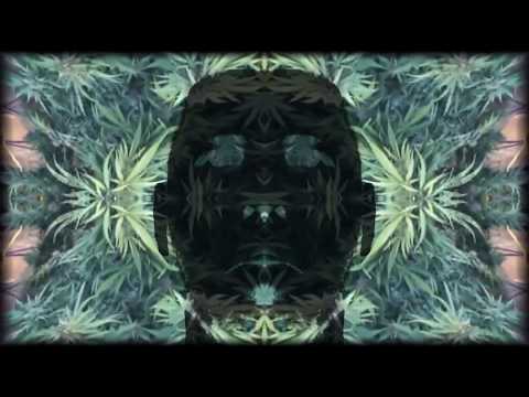 Maurycy RA - ZIOŁO (OT Genasis - COCO marihuana version)