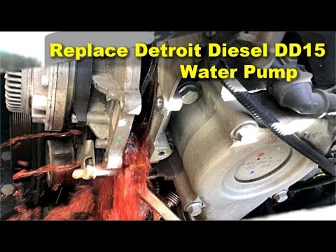Freightliner Cascadia Detroit Diesel DD15 Water pump Removal