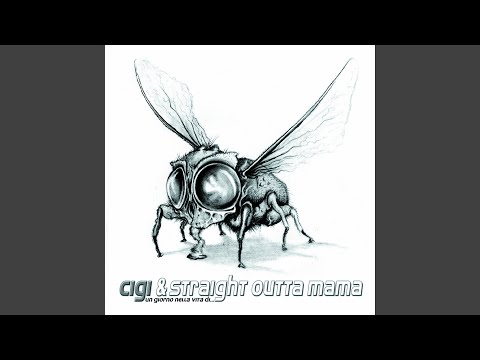 Sognando / Traumtor (feat. Toni L & Black Tiger)