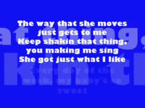 Shook - Shawn Desman (With Lyrics.)