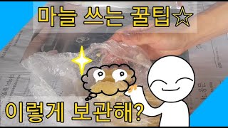 다진마늘 잘 보관하여, 쉽고 편리하게 사용하는방법 꿀팁